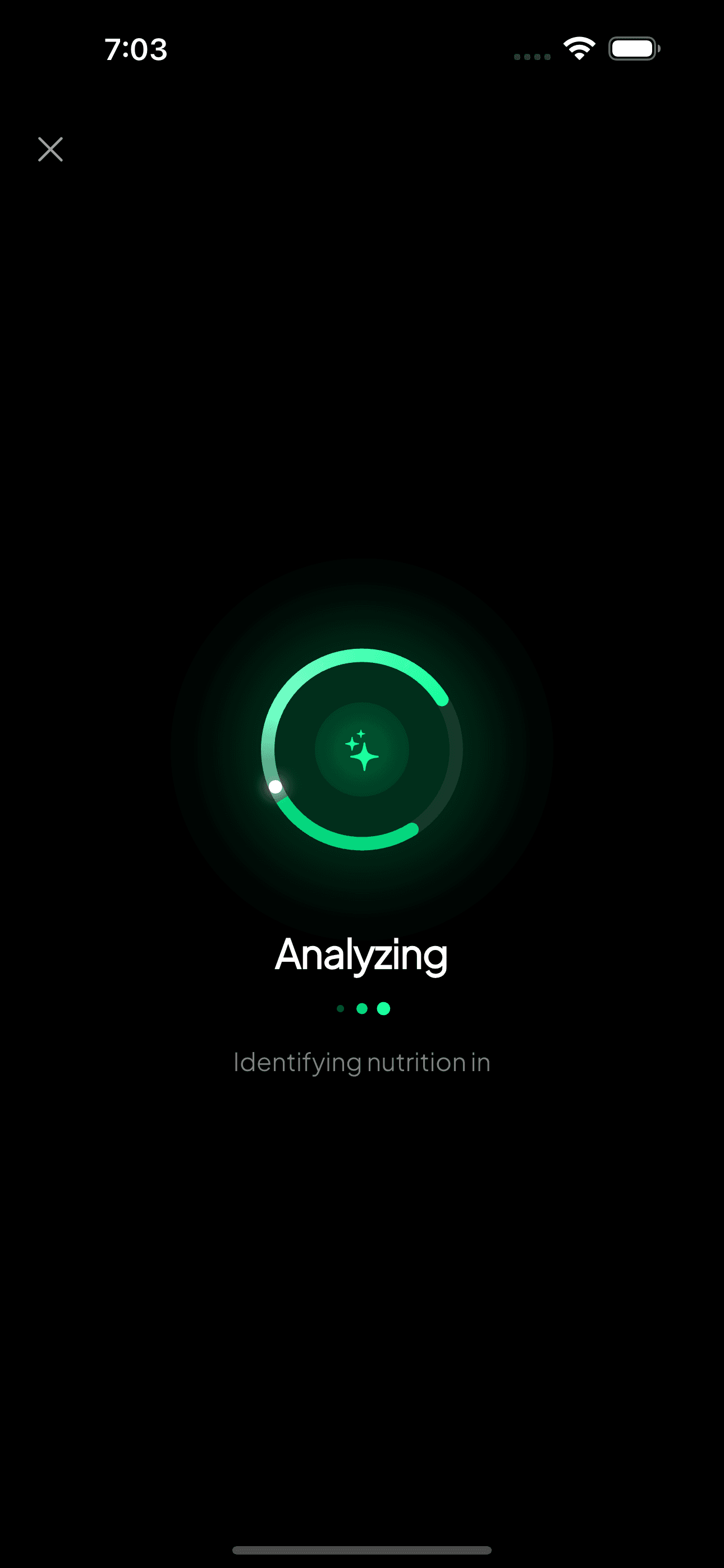 MeaLens AI analyzing your meal